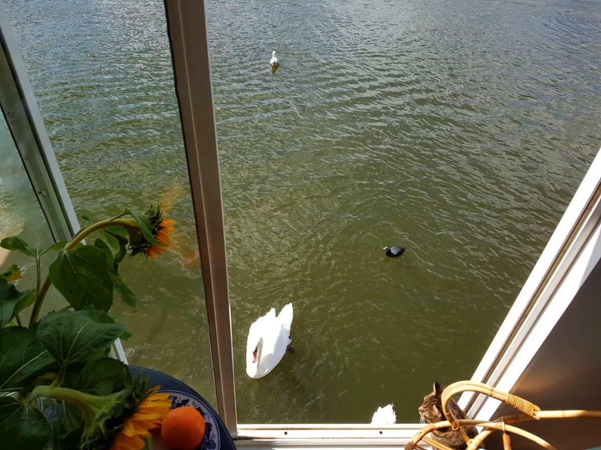 Houseboat Concordia B&B Amsterdam Ngoại thất bức ảnh